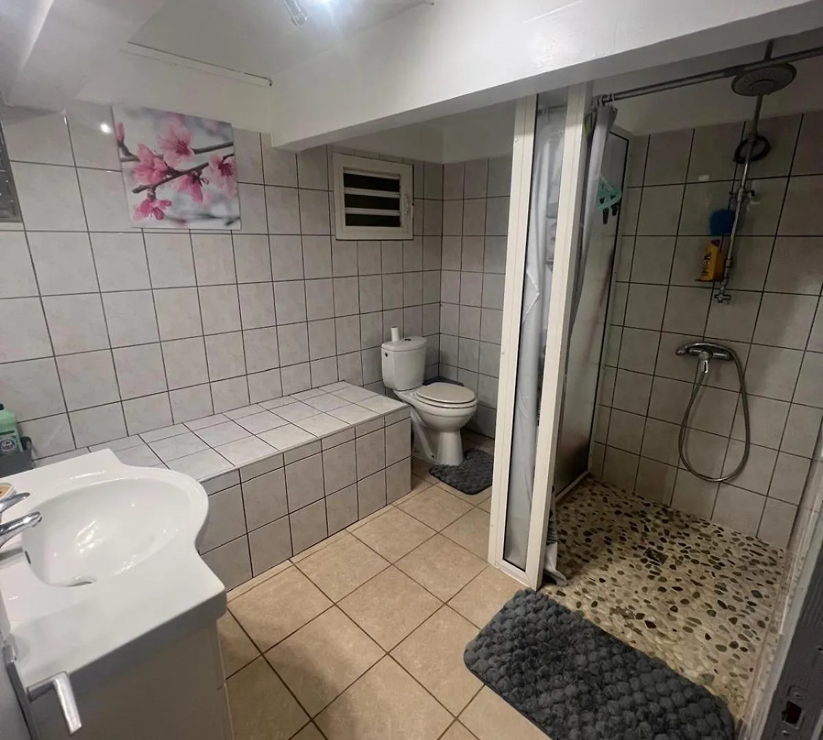 Ti Kaz Pointe Allegre Sainte-Rose Γουαδελούπη
